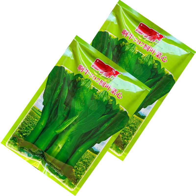 啊牛707圆叶菜心种子抗病菜苔粗壮整齐生长快大田基地种