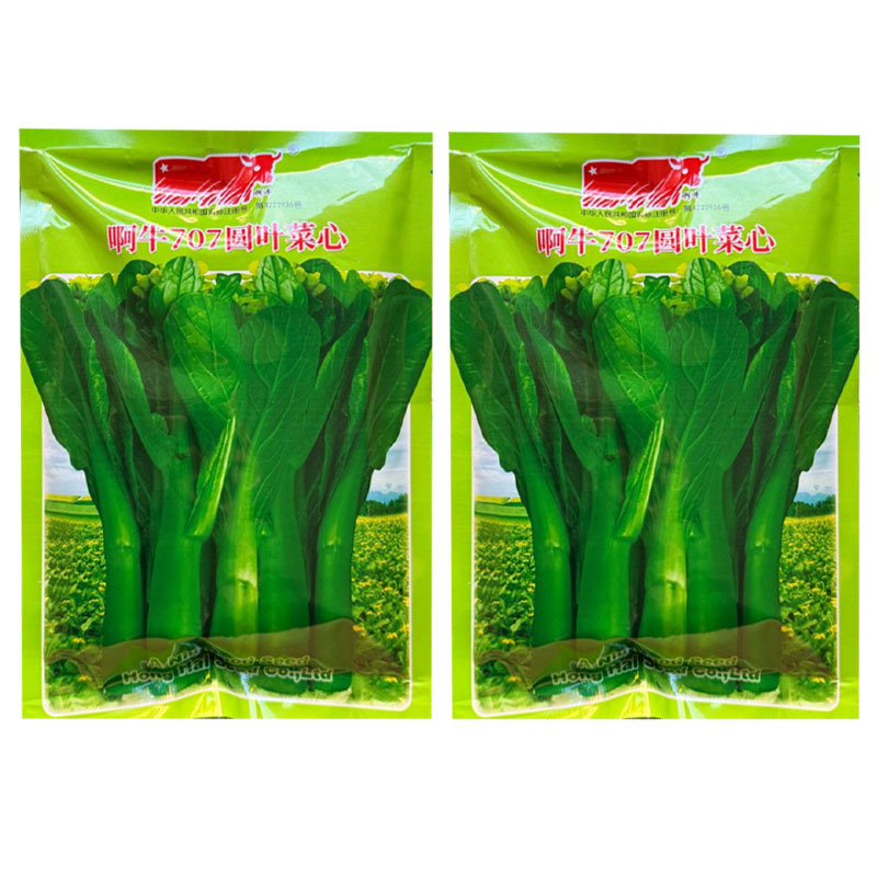 啊牛707圆叶菜心种子抗病菜苔粗壮整齐生长快大田基地种