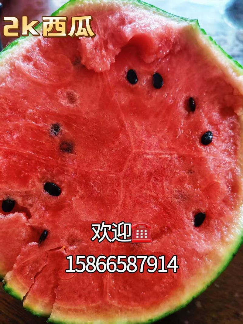 实力代收山东2K西瓜口感好对接电商社区团购一手货源。