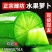 山东潍县青萝卜，水果萝卜，价格合理，质量很好，口感脆甜。