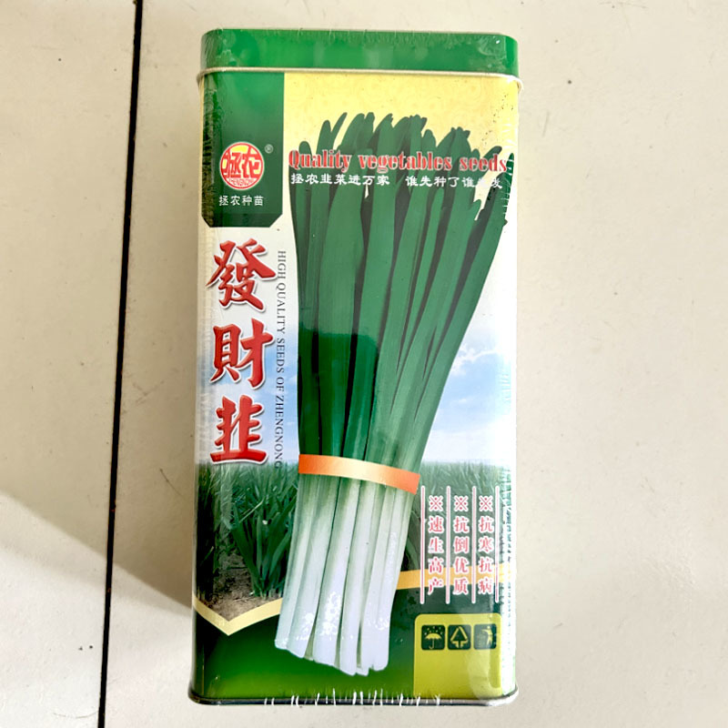 韭菜种子发财韭种籽不休眠品种拯农韭菜种子叶浓绿叶宽适中