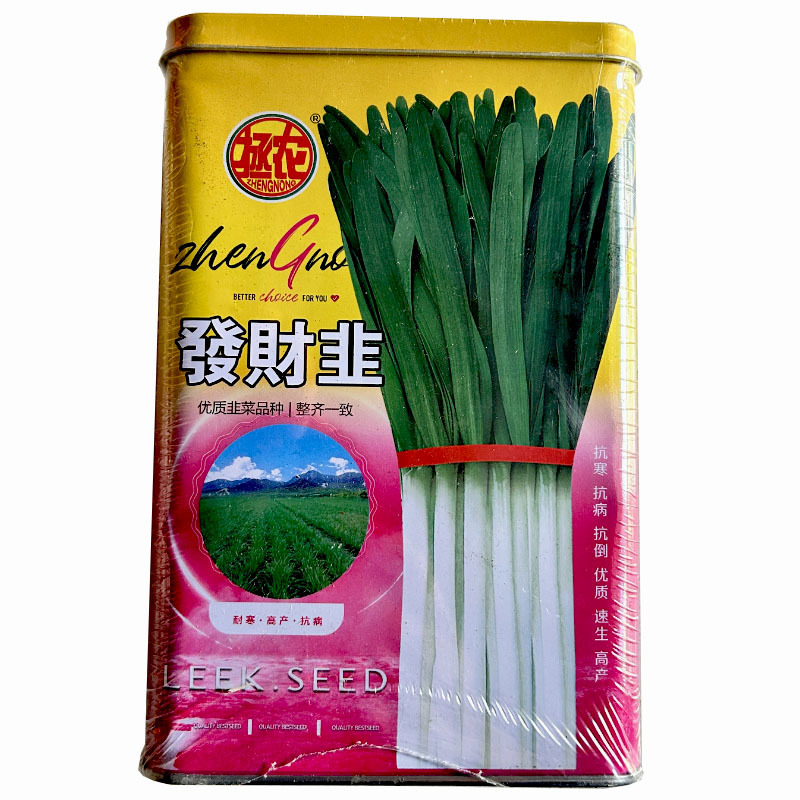 韭菜种子发财韭种籽不休眠品种拯农韭菜种子叶浓绿叶宽适中