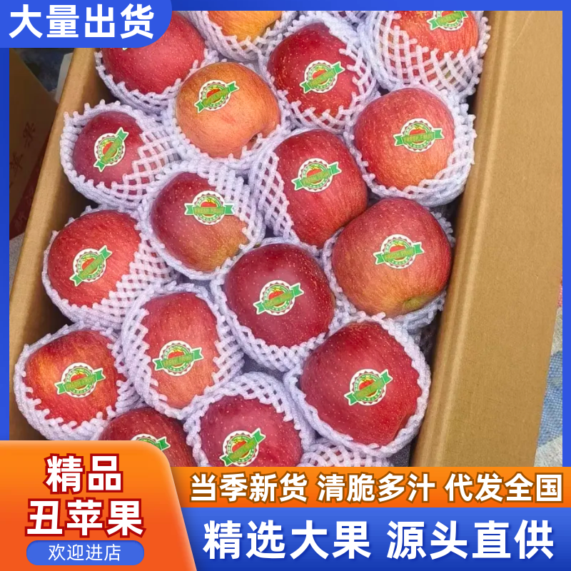 【精品推荐】四川汉源高山冰糖心丑苹果红富士苹果