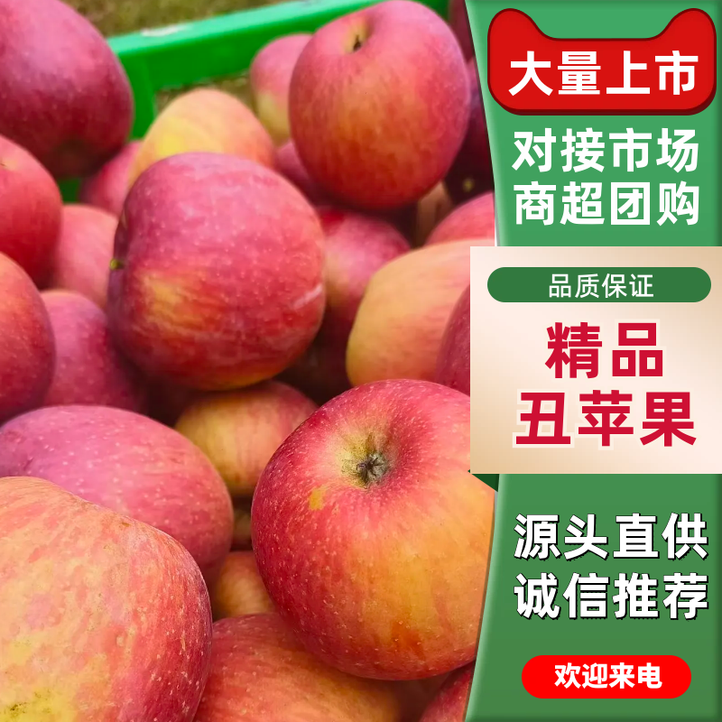 【精品推荐】四川汉源高山冰糖心丑苹果红富士苹果