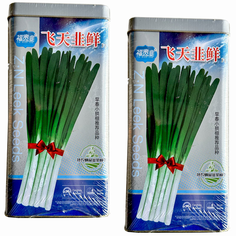 韭菜种子飞天韭鲜韭菜种籽叶片宽大肥厚叶深绿休眠韭菜种籽