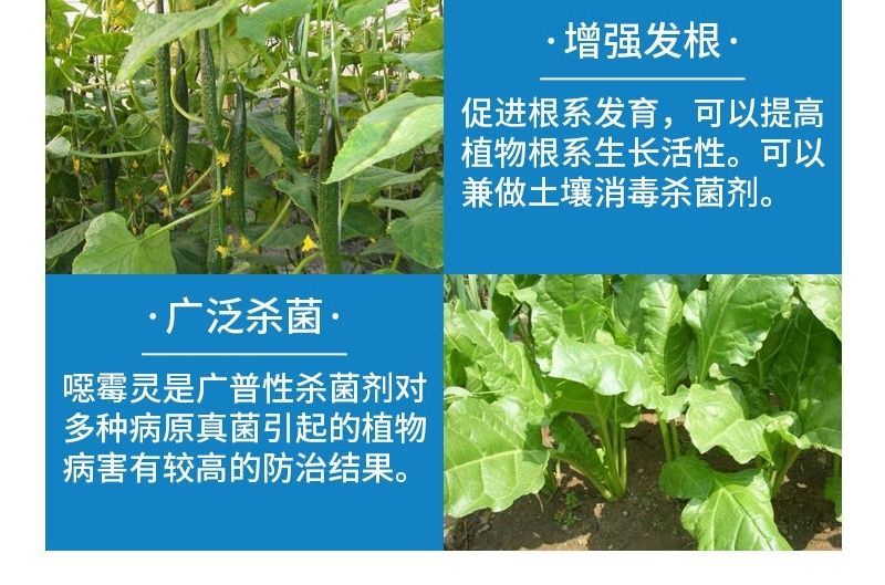 30%甲霜恶霉灵烂根死苗根腐病立枯病枯萎病猝倒病土传病害