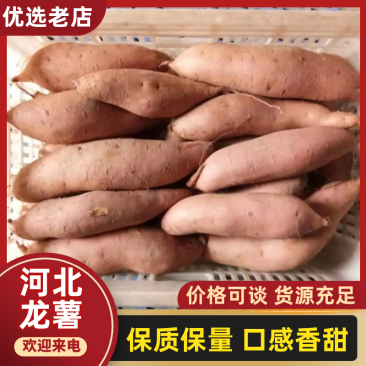 河北精品龙薯龙薯九号条形好颜色亮全国代发