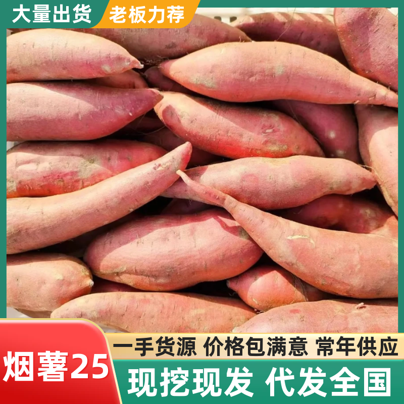 烟薯25河北烟薯蜜薯供应各大电商社区团购保质保量
