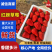 保定九九草莓红颜久久量大从优欢迎来电沟通