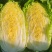 3-5斤黄心大白菜，翠绿清秀品相优良，货源充足，欢迎订购
