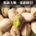 开心果2025新货原色坚果散装批发炒货大颗粒原味果仁