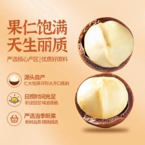 夏威夷果电商精品坚果批发干果散装称斤炒货