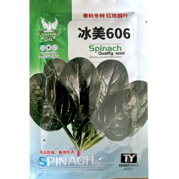 菠菜种子中熟冰美606红根菠菜籽圆叶菠菜耐寒叶深绿油亮叶