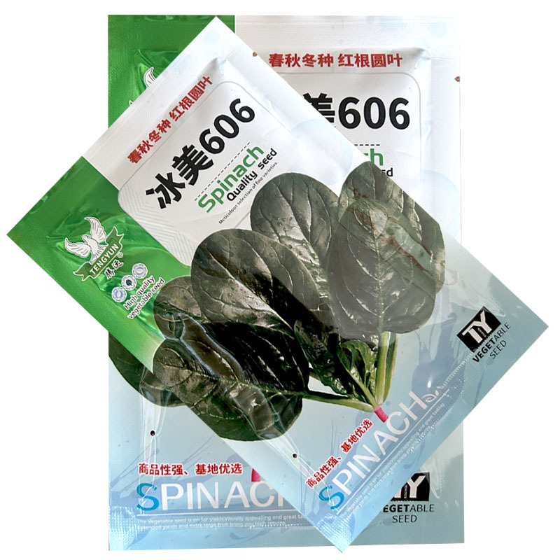 菠菜种子中熟冰美606红根菠菜籽圆叶菠菜耐寒叶深绿油亮叶