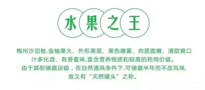 【热卖】沙田柚新鲜上市品质保证大量供应限广东试吃包邮