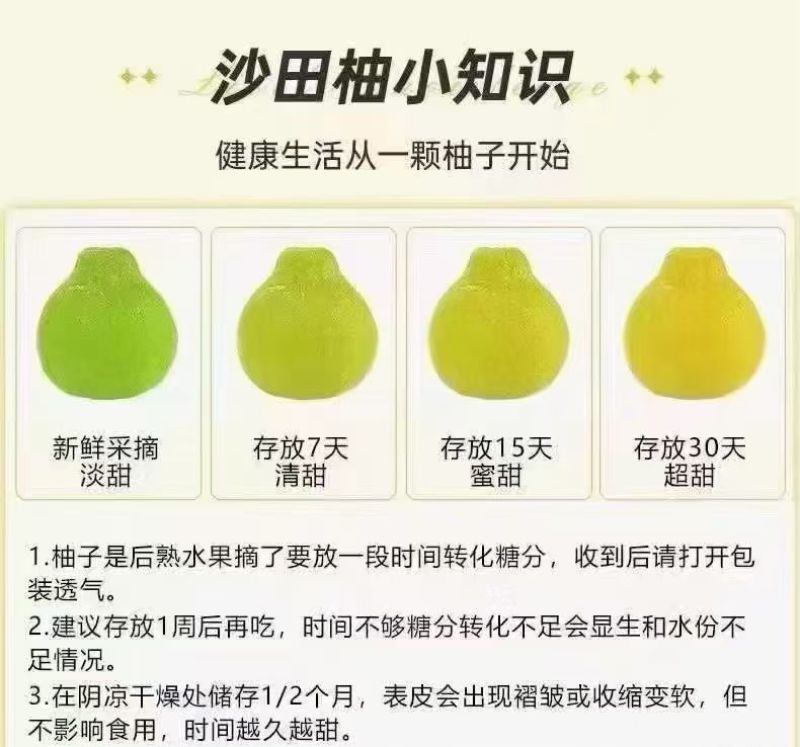 【热卖】沙田柚新鲜上市品质保证大量供应限广东试吃包邮