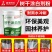 树干涂白剂园林果树防虫咬防冻耐雨淋防晒防日灼树木农用