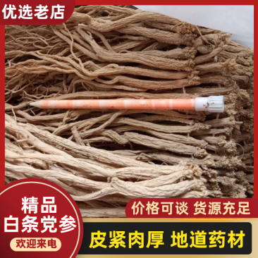 甘肃陇西白条党参质量保证货源充足欢迎咨询