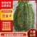 安徽贡菜干，火锅，串串，钵钵鸡口感脆爽品质保证
