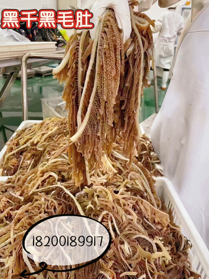 黑千黑毛肚牛百叶火锅食材涮菜专用供应全国常年供货欢迎洽谈