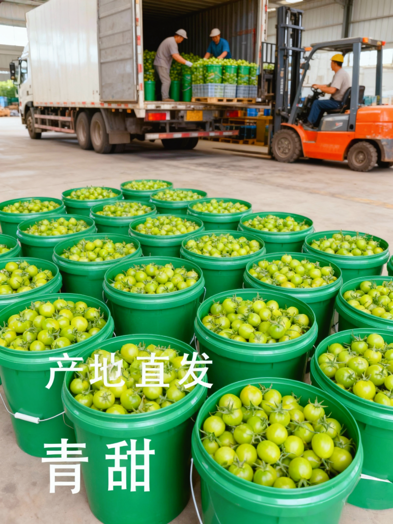 山东青甜小番茄产地直批不转手商超供货新鲜有保障