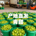 山东青甜小番茄产地直批不转手商超供货新鲜有保障