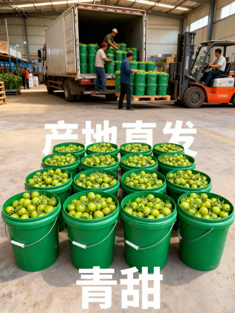 山东青甜小番茄产地直批不转手商超供货新鲜有保障