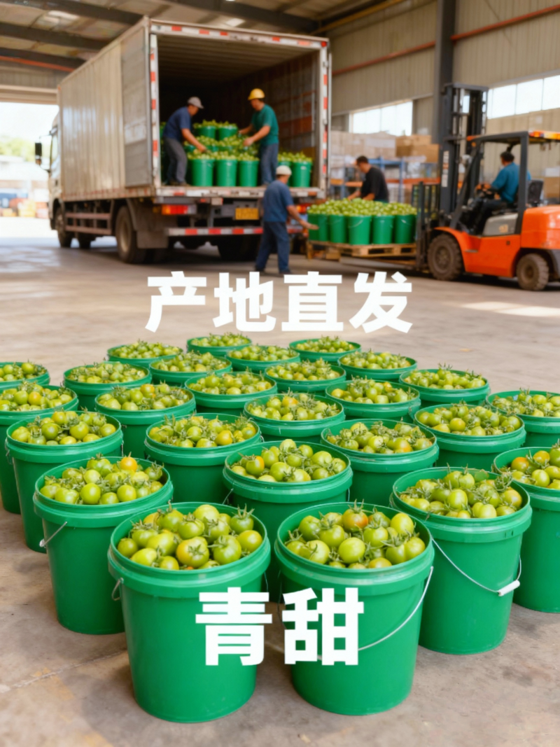山东青甜小番茄产地直批不转手商超供货新鲜有保障