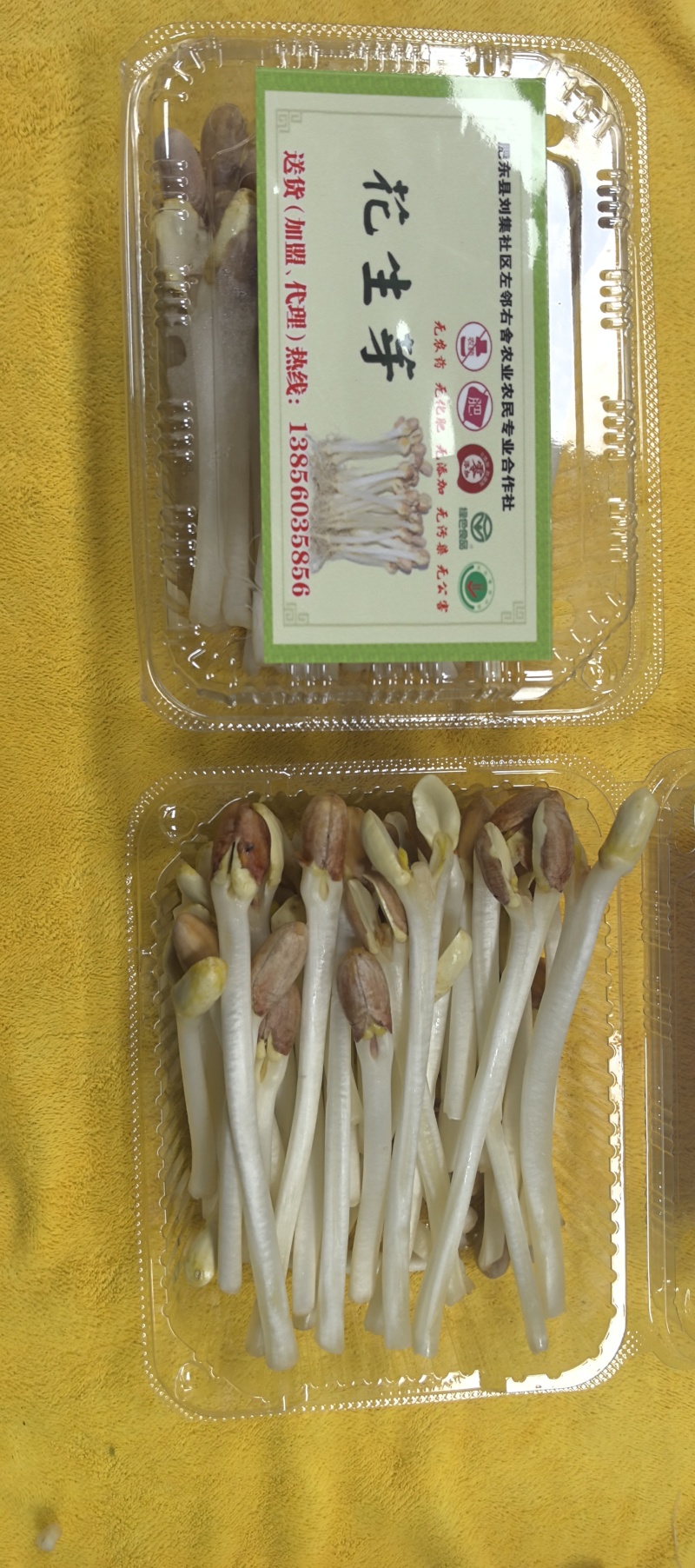 刘集社区左邻右舍农业农民专业合作社