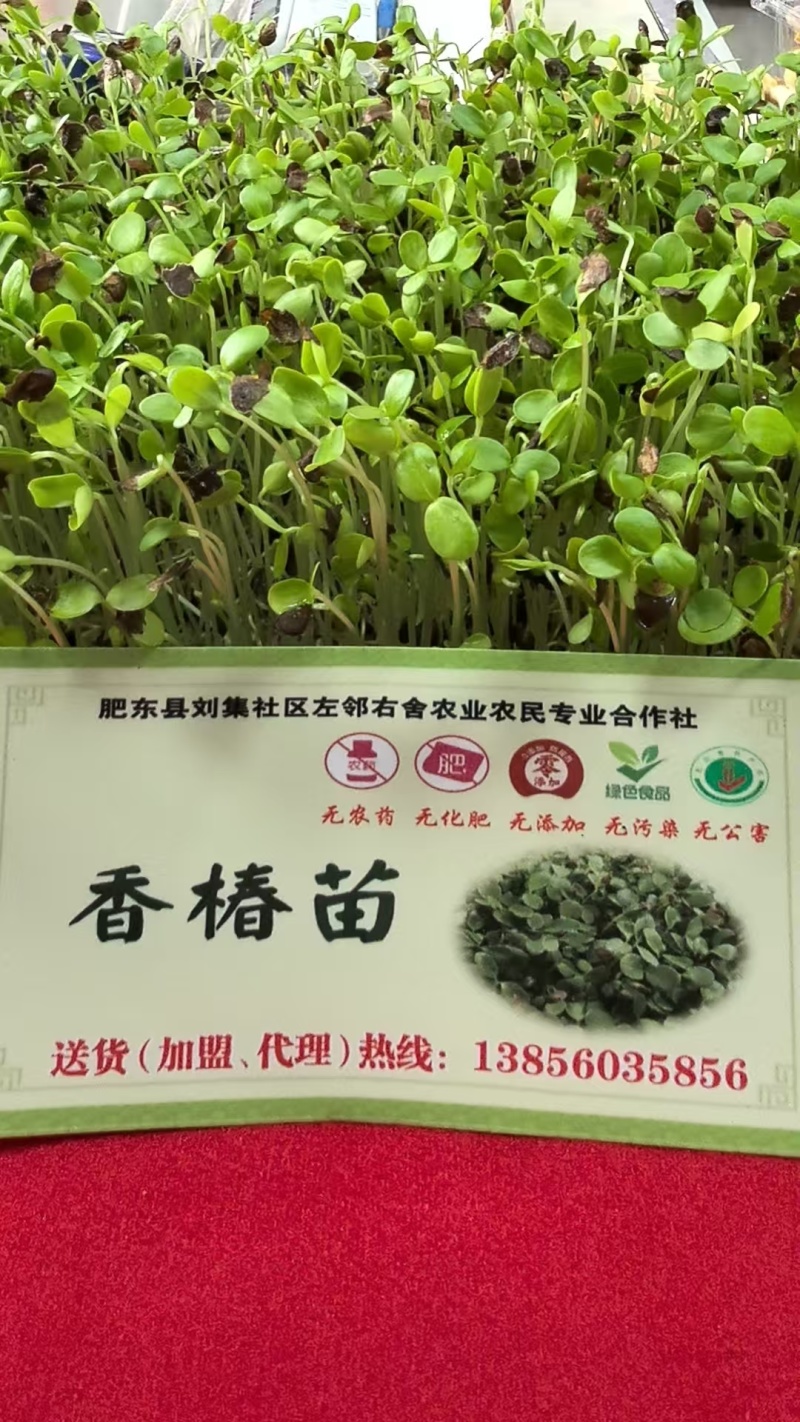 刘集社区左邻右舍农业农民专业合作社