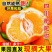 优选四川耙耙柑供应超市档口商贩价格透明全国走货
