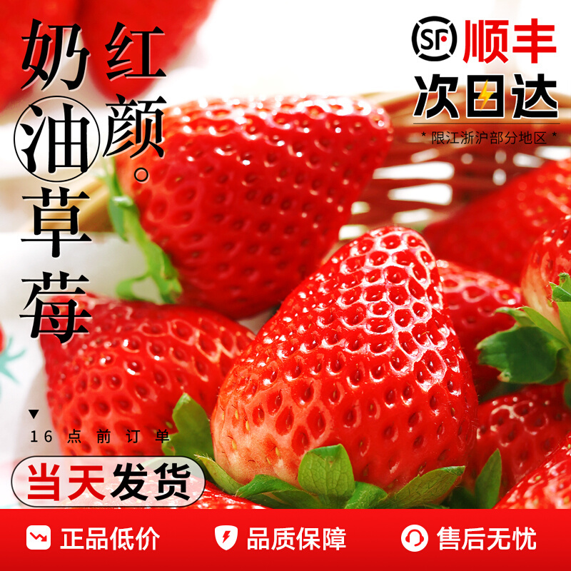 正宗奶油红颜草莓特大新鲜水果