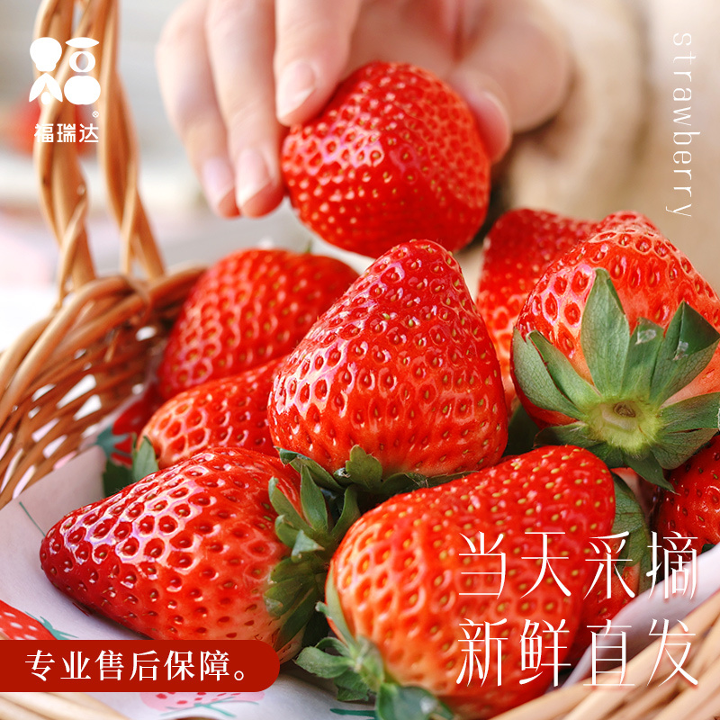 正宗奶油红颜草莓特大新鲜水果