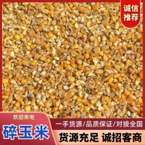 山东郓城碎玉米，畜禽养殖好口粮，量大从优欢迎选购！