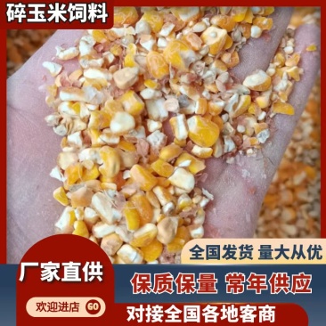 精选碎玉米，畜禽养殖好口粮，欢迎电话联系咨询！