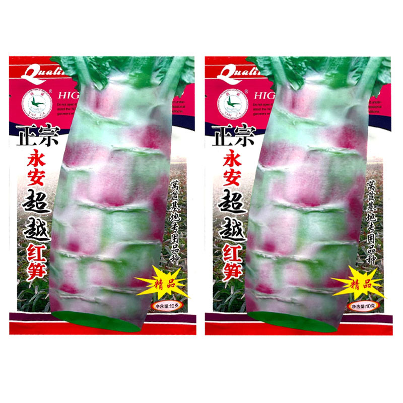 永安飞桥莴笋种子红尖叶莴笋种子皮薄香味浓可食用率高基地用