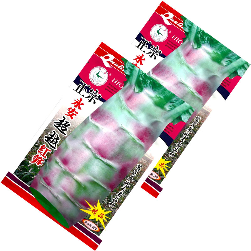 永安飞桥莴笋种子红尖叶莴笋种子皮薄香味浓可食用率高基地用