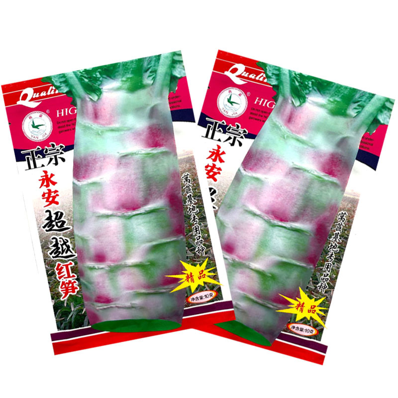 永安飞桥莴笋种子红尖叶莴笋种子皮薄香味浓可食用率高基地用