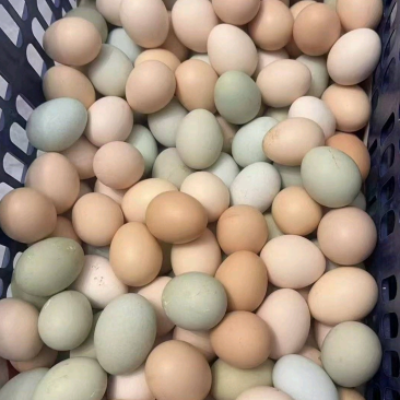 鸡蛋湖北潜江土鸡蛋（一件代发包邮）品质保证，规格齐全