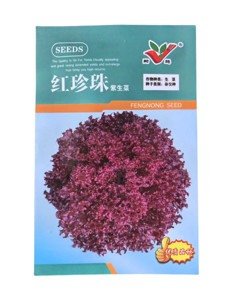红珍珠紫生菜种子进口紫叶生菜种子