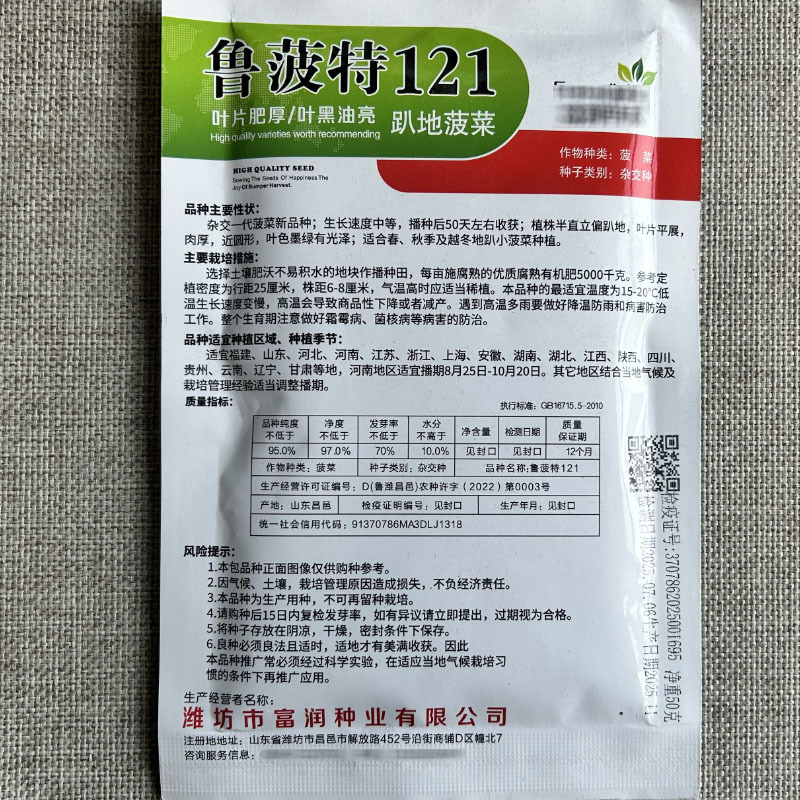 鲁菠特121趴地菠菜种子叶片肥厚叶黑油亮杂交种