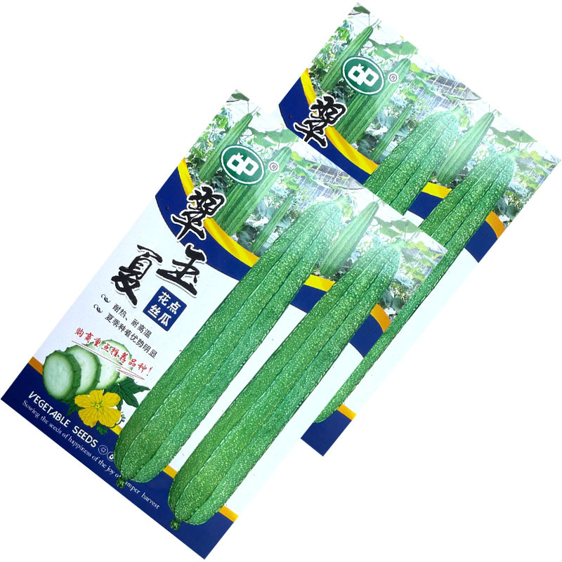 翠玉夏花点丝瓜种子耐热耐高温头尾匀称夏季种植优势明显