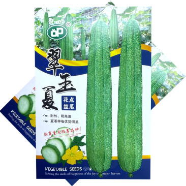 翠玉夏花点丝瓜种子耐热耐高温头尾匀称夏季种植优势明显