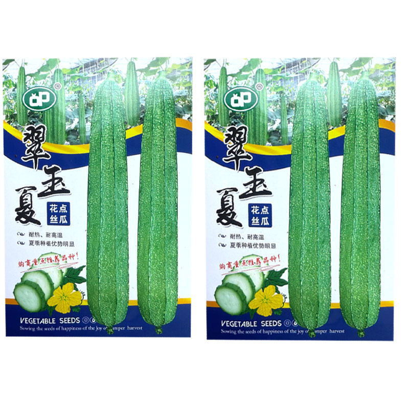 翠玉夏花点丝瓜种子耐热耐高温头尾匀称夏季种植优势明显