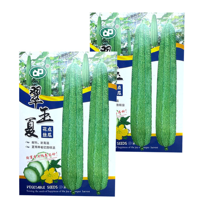 翠玉夏花点丝瓜种子耐热耐高温头尾匀称夏季种植优势明显