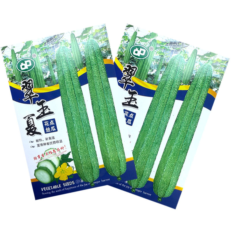 翠玉夏花点丝瓜种子耐热耐高温头尾匀称夏季种植优势明显