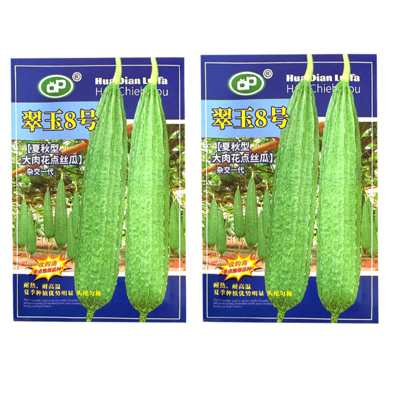 翠玉8号夏秋型大肉花点丝瓜种子早中熟耐高温头尾匀称基地用