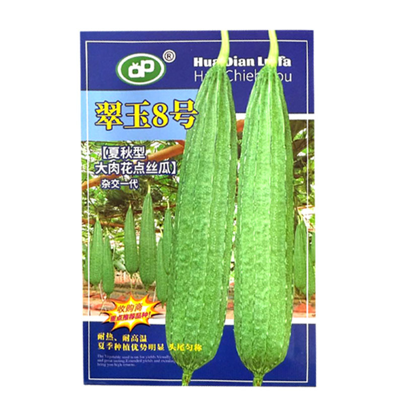翠玉8号夏秋型大肉花点丝瓜种子早中熟耐高温头尾匀称基地用