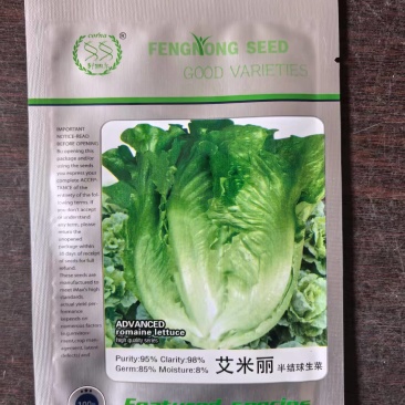 艾米丽半结球生菜种子意大利生菜种子耐热耐抽苔可全年种植