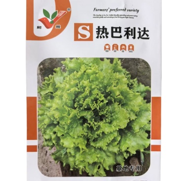 热巴利达生菜种子大速生菜种子耐热耐烧心高产基地种子